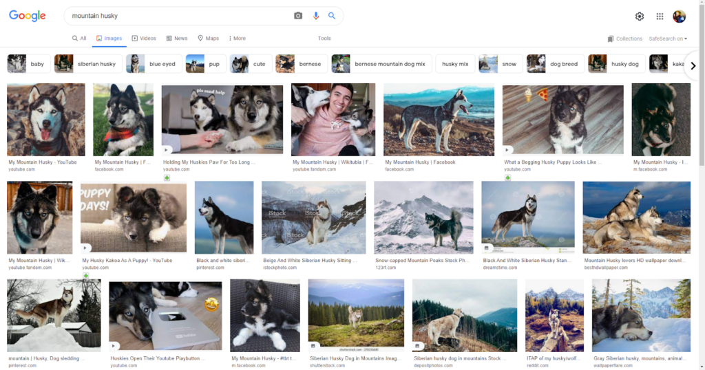 Google Advanced Image search