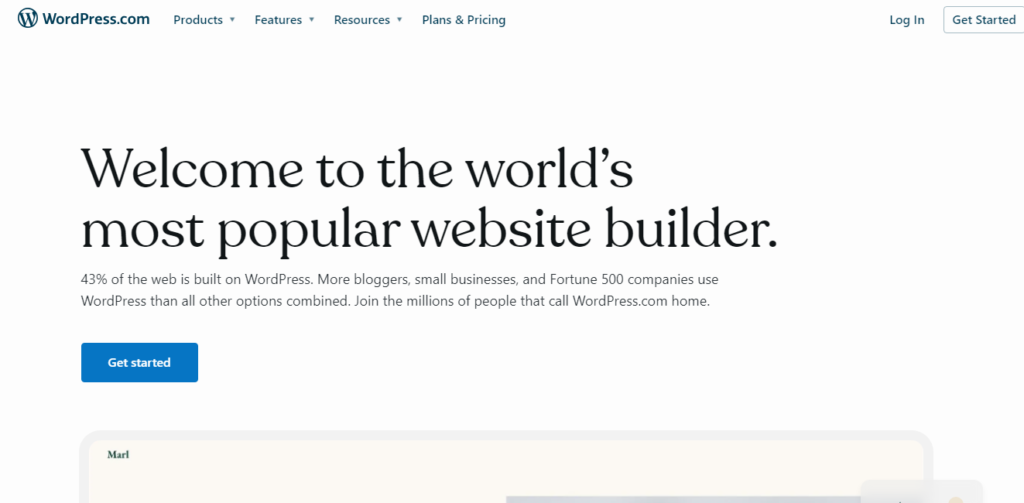 Word Press Home Page