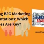 which of the following are b2c marketing segmentations?