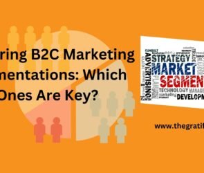 which of the following are b2c marketing segmentations?