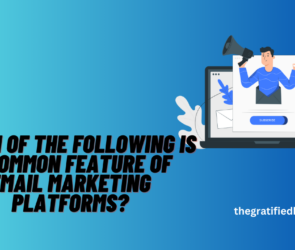 Which Of The Following Is A Common Feature Of Email Marketing Platforms?