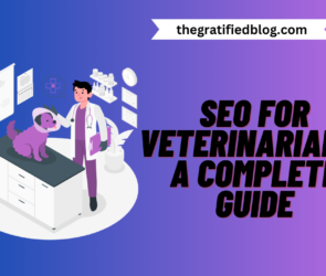SEO For Veterinarians: A Complete Guide