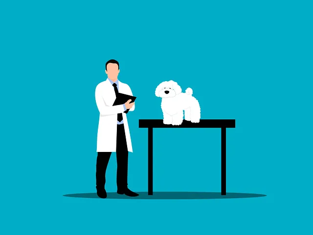 The Benefits Of SEO For Veterinarians
