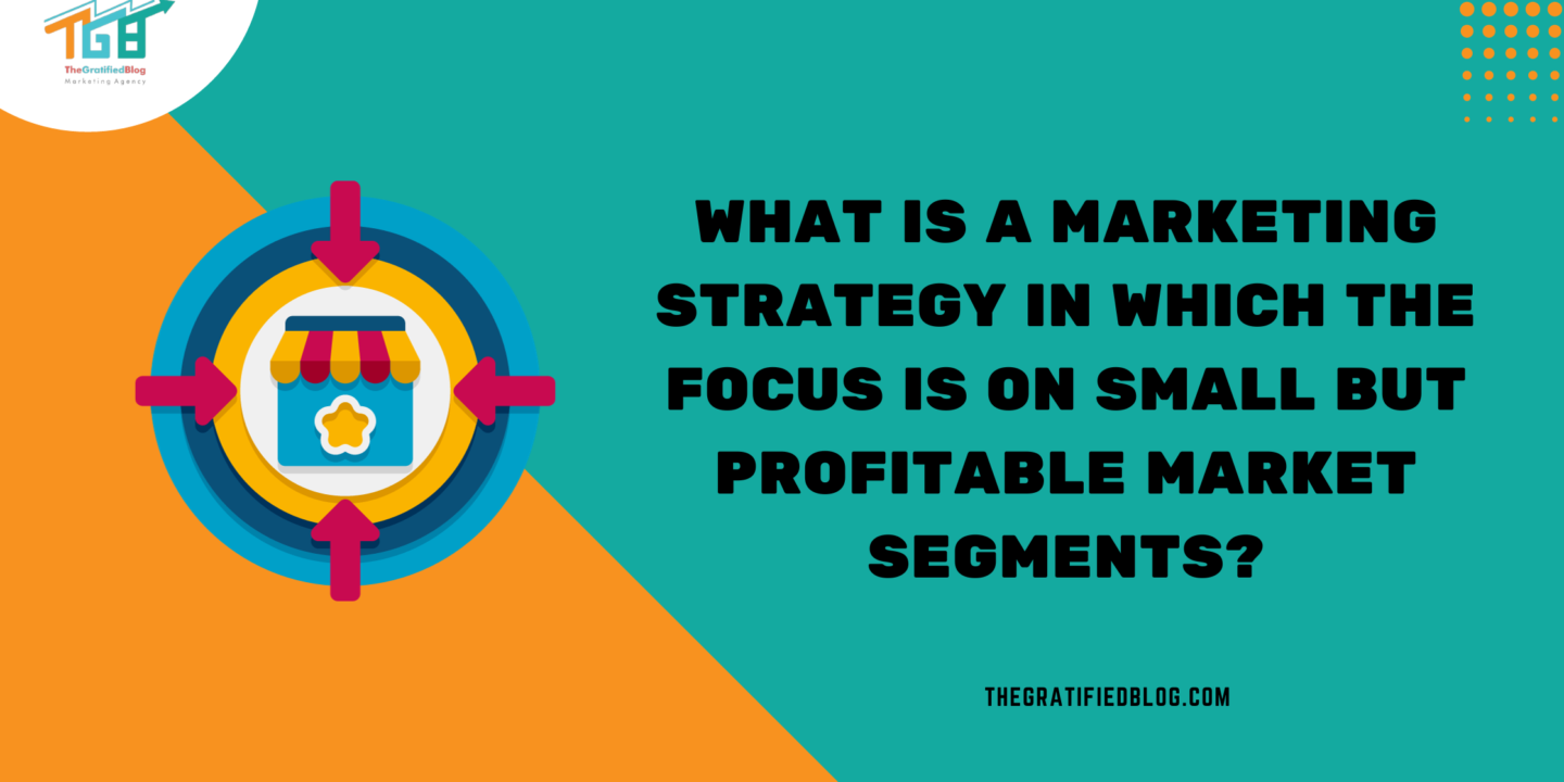 What Is A Marketing Strategy In Which The Focus Is On Small But Profitable Market Segments?