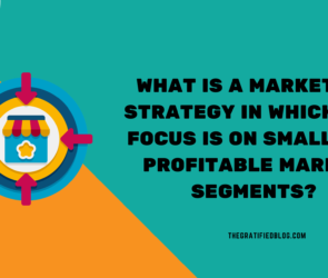 What Is A Marketing Strategy In Which The Focus Is On Small But Profitable Market Segments?