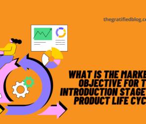 What Is The Marketing Objective For The Introduction Stage Of The Product Life Cycle?
