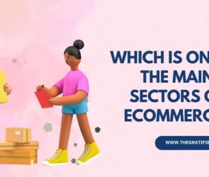 which is one of the main sectors of ecommerce