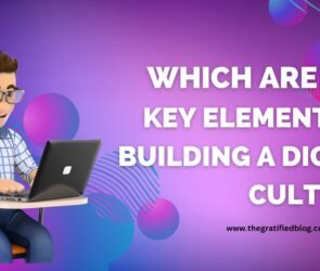 which are the key elements to building a digital culture?