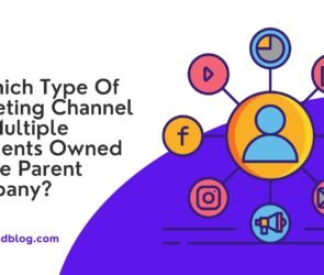 In Which Type Of Marketing Channel Are Multiple Segments Owned By The Parent Company?