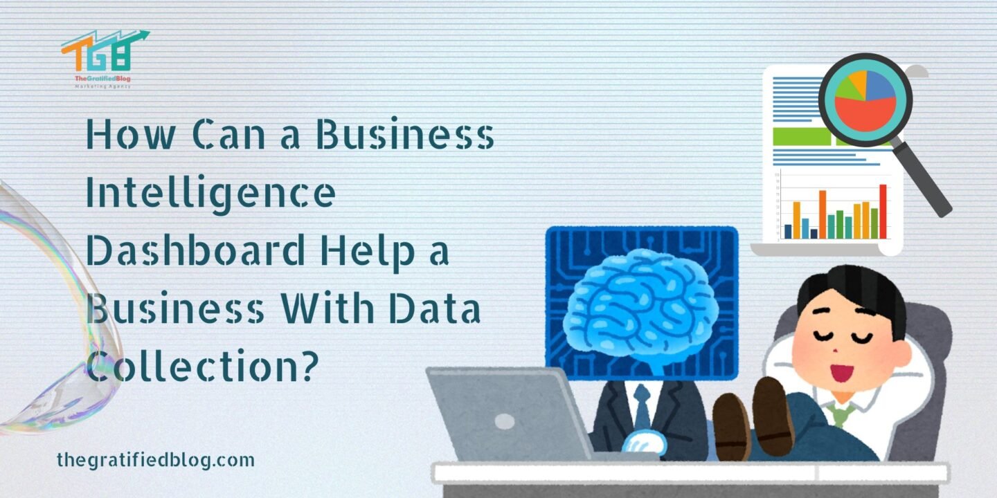 How Can a Business Intelligence Dashboard Help a Business With Data Collection?