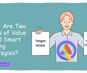 What Are Two Types Of Value-Based Smart Bidding Strategies?