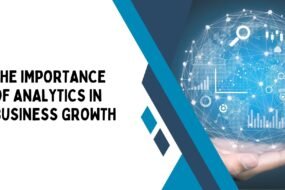 The Importance of Analytics in Business Growth